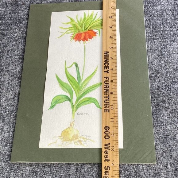 Original Watercolor Painting Fritillaria Botanical Flower Signed B Westbrook 90s - Picture 7 of 11